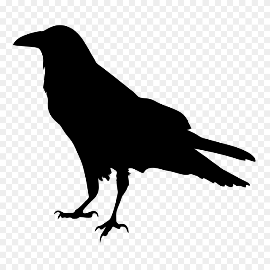 Raven Silhouette | Free PNG - Raven