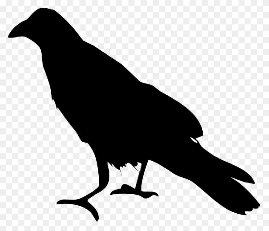 Raven Silhouette Clipart  - Raven