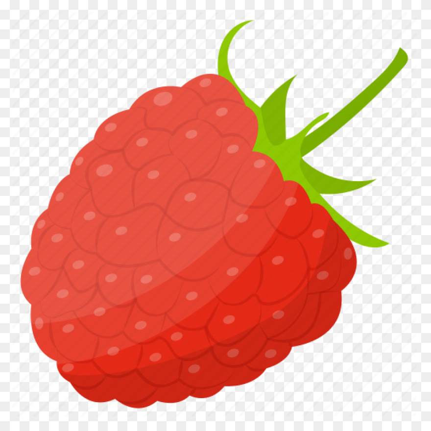 Fruit Drawing Clipart Raspberry, Fr