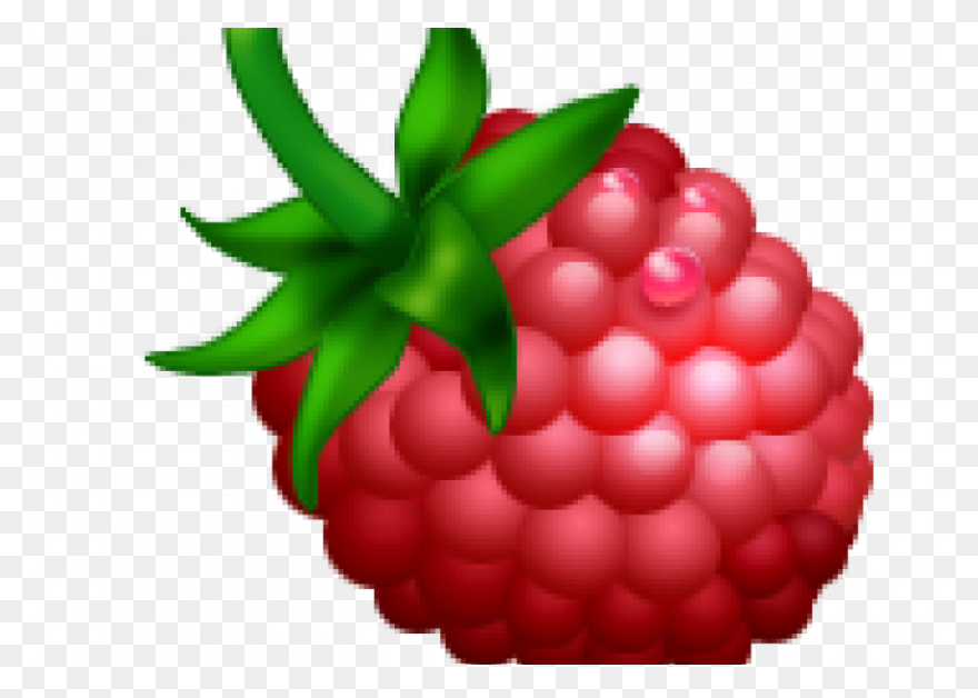 Fruit Drawing Clipart Raspberry, Fr