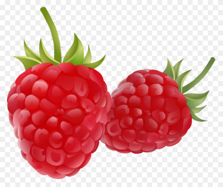 Fruit Drawing Clipart Raspberry Fruit - Raspberry
