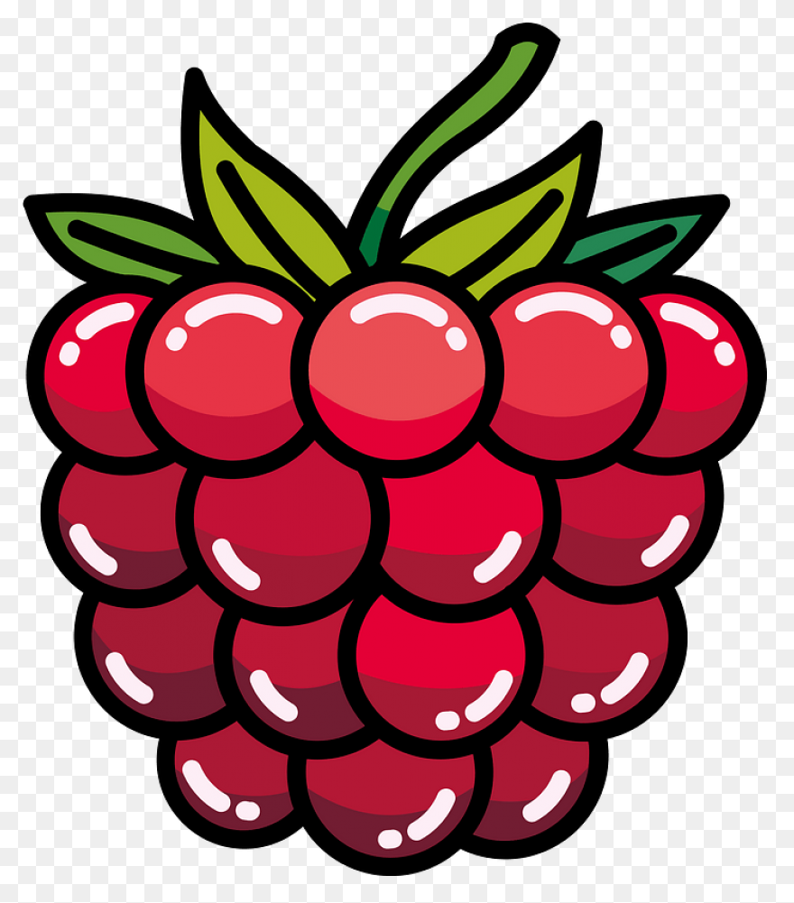 Fruit Drawing Clipart Raspberry, Fr