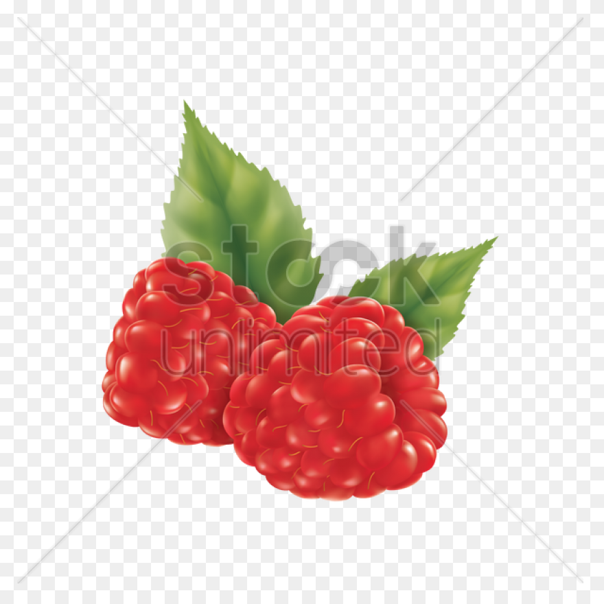 Fruit Drawing Clipart Raspberry, Fr