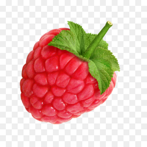 Fruit Drawing Clipart Raspberry, Fr