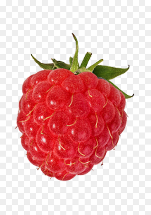 Fruit Drawing Clipart Raspberry, Fr
