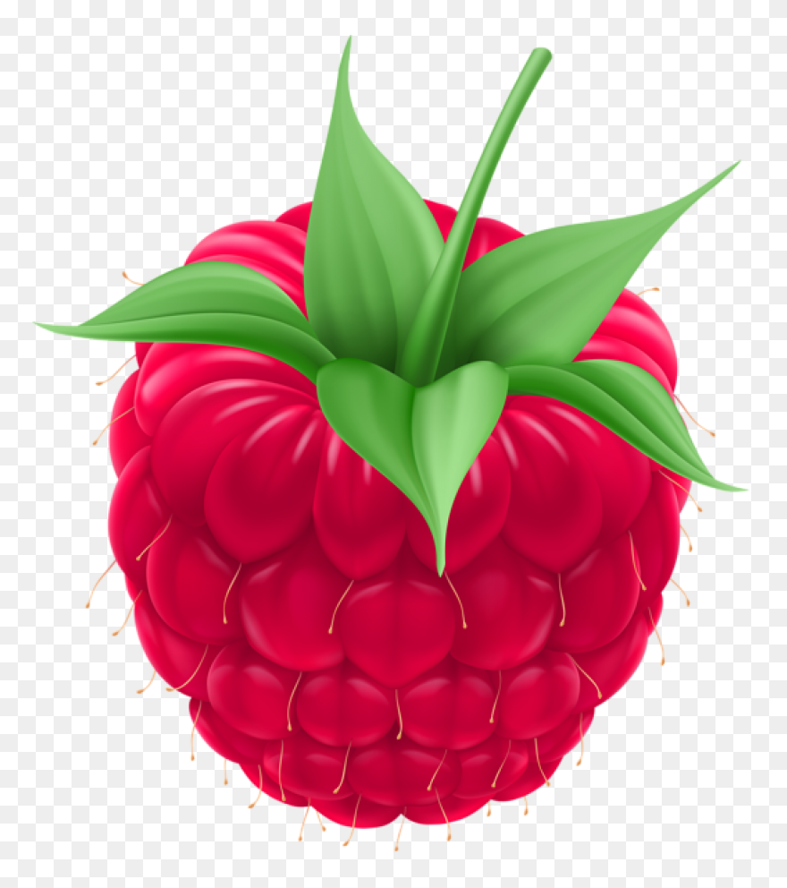 Fruit Drawing Clipart Raspberry, Fr