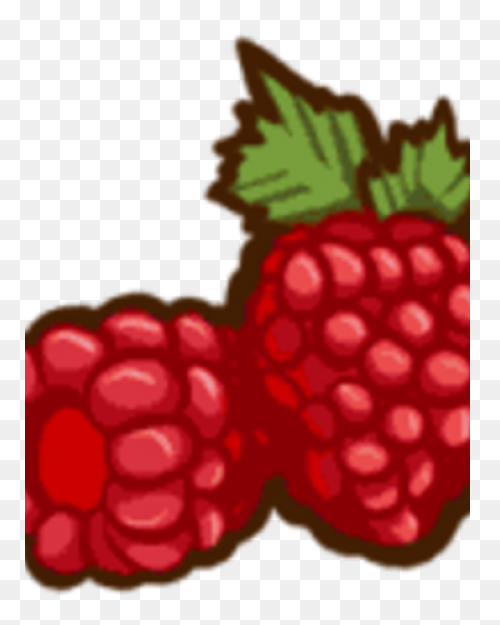 Fruit Drawing Clipart Raspberry, Fr