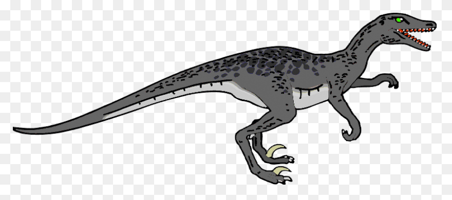 Velociraptor Clipart Raptor - Rapto
