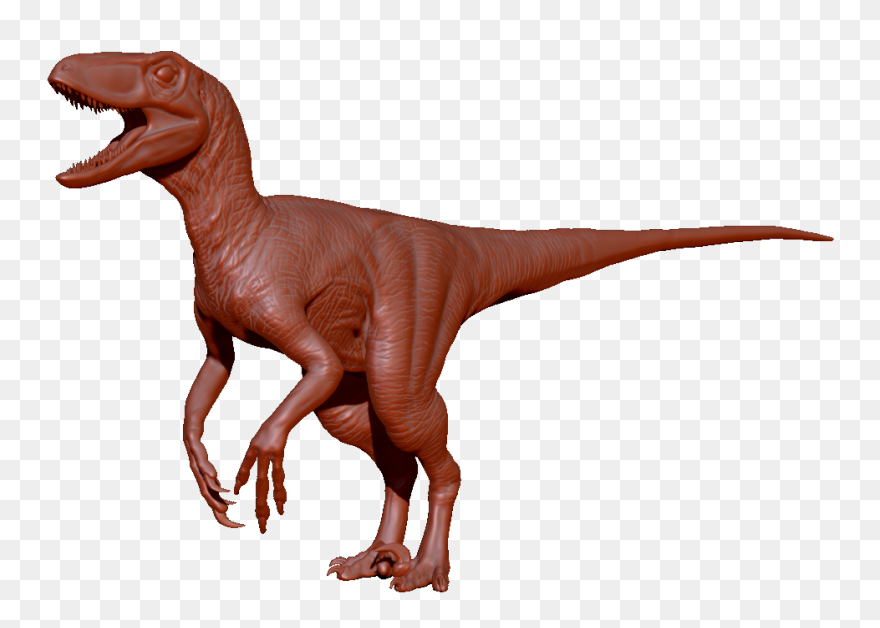 Velociraptor Clipart Raptor - Rapto