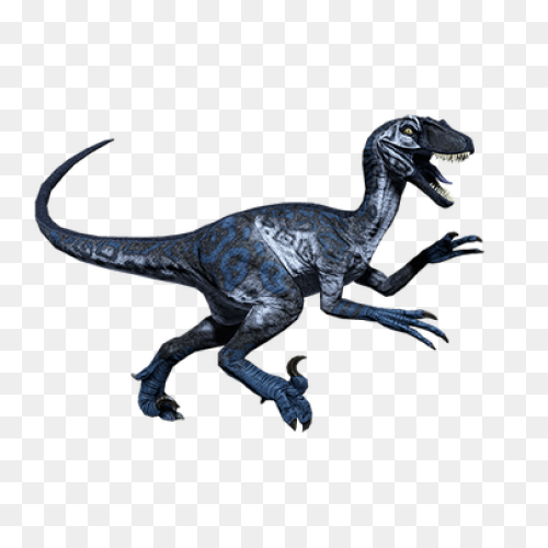 Velociraptor Clipart Raptor - Rapto