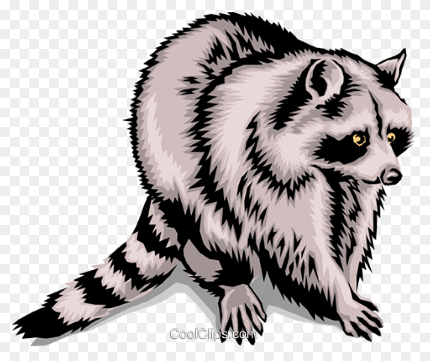 Free Raccoon Clipart 5 - ClipartFla
