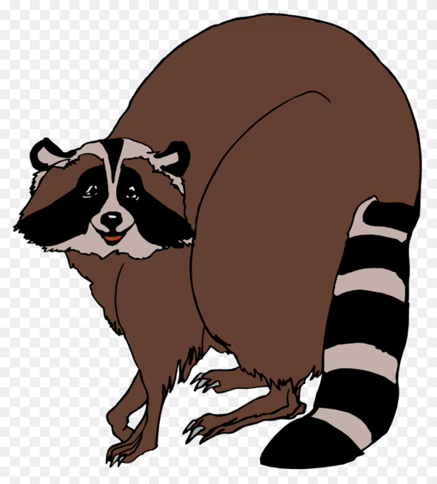 Free Raccoon Clipart 5 - ClipartFla