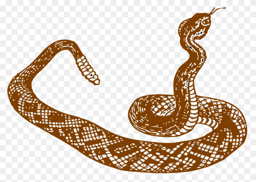 Free Rattlesnake Transparent, Downl