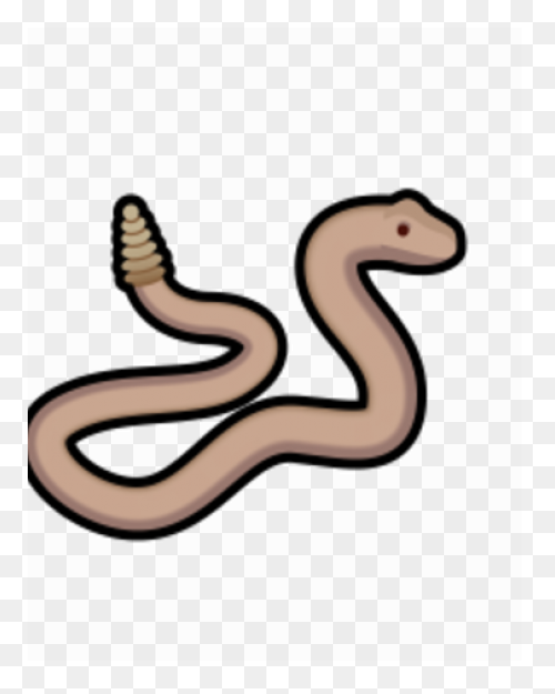 Free Rattlesnake Transparent, Downl