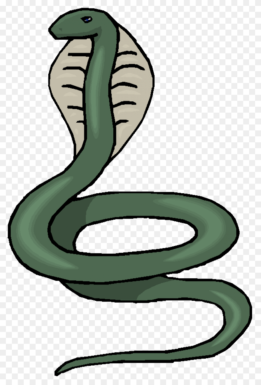 Free Rattlesnake Transparent, Downl