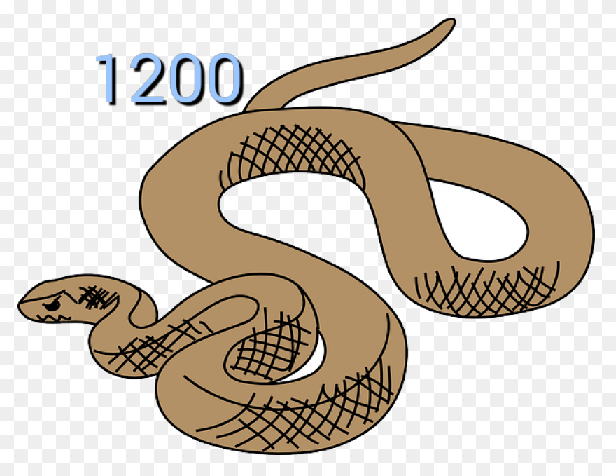 Free Rattlesnake Transparent, Downl