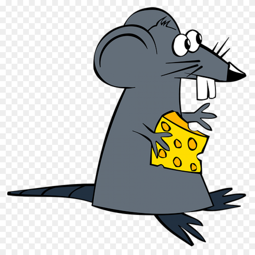 Hello Sailor (Ship Rat Intro. Page)