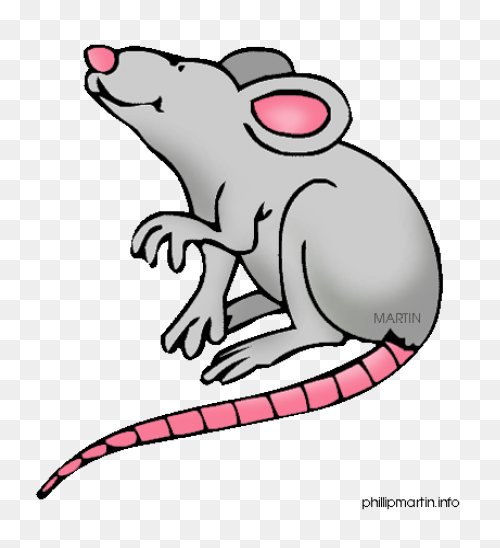 9 Rat Clipart Preview : - Rat