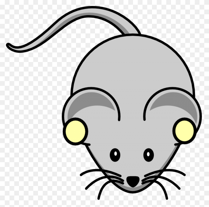 Hello Sailor (Ship Rat Intro. Page)