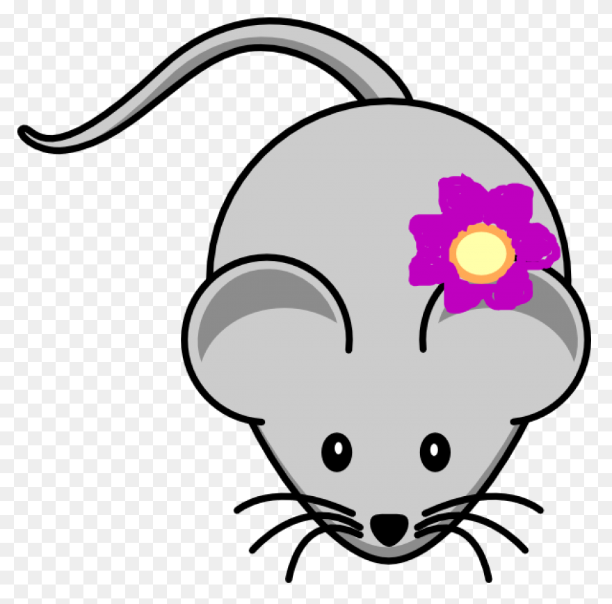 Hello Sailor (Ship Rat Intro. Page)