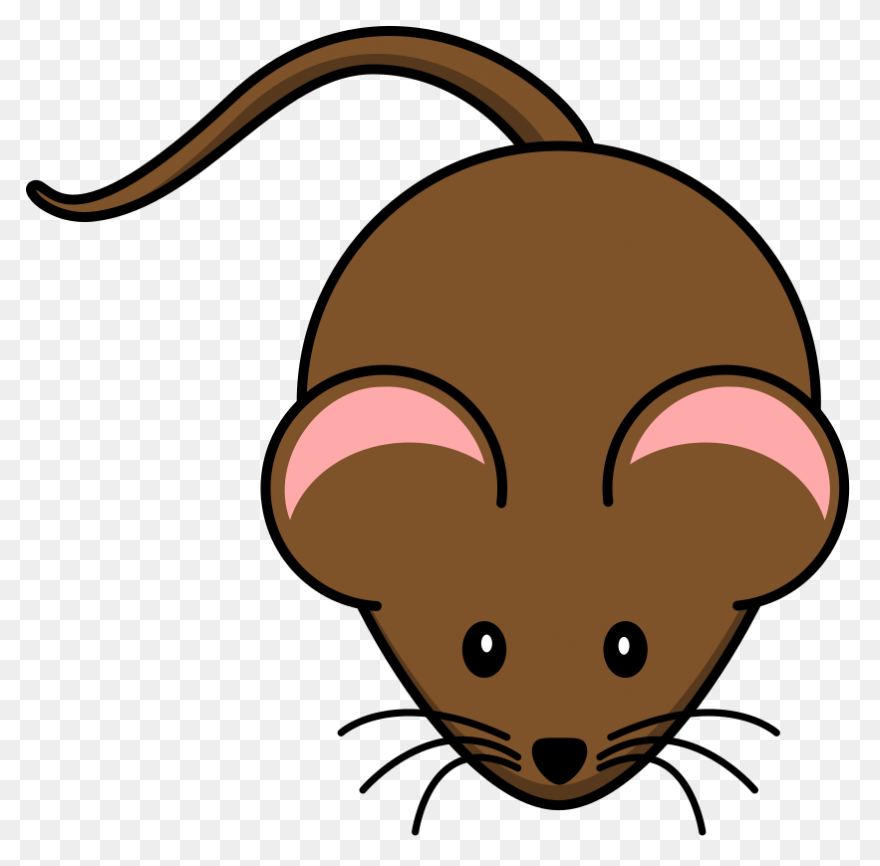  Background Rat Clipart Png - Rat