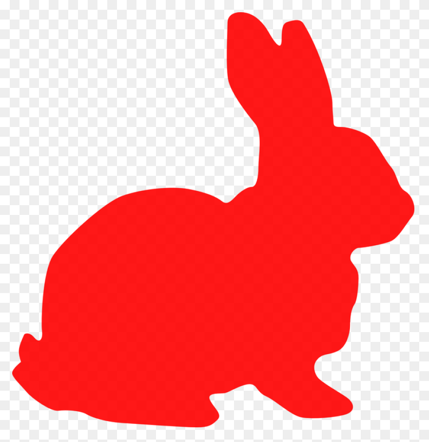 Cartoon Bunny | Use These Free Imag