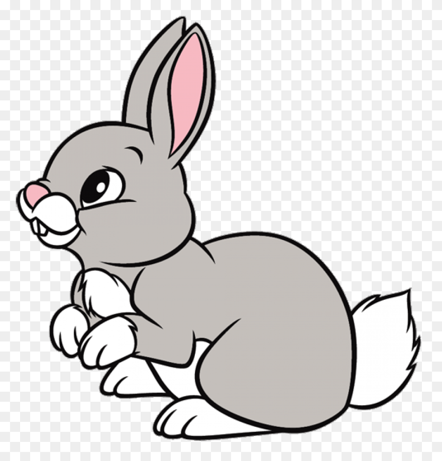 Cartoon Bunny | Use These - Rabbit