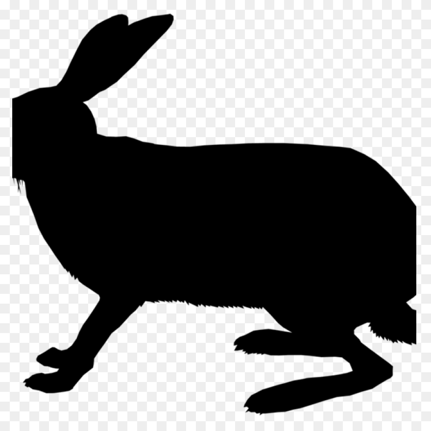 Cartoon Bunny | Use These Free Imag