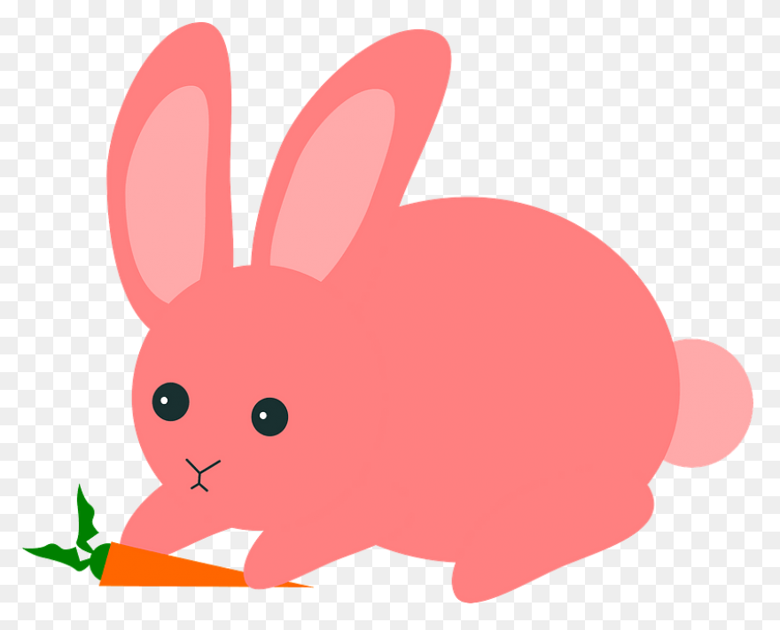 Cartoon Bunny | Use These Free Imag