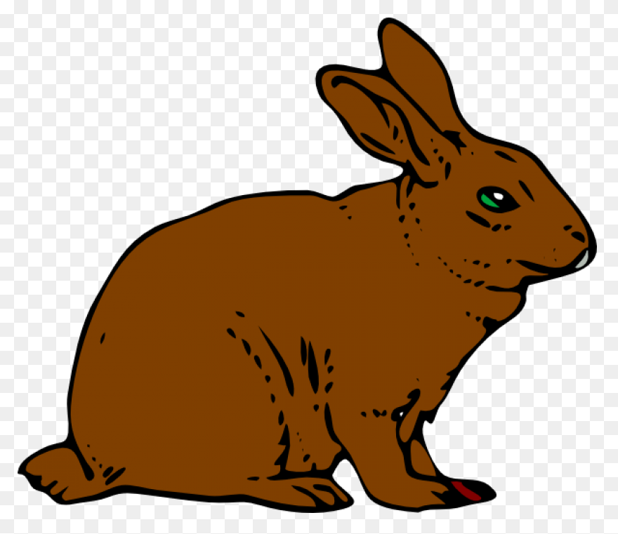 Cartoon Bunny | Use These Free Imag
