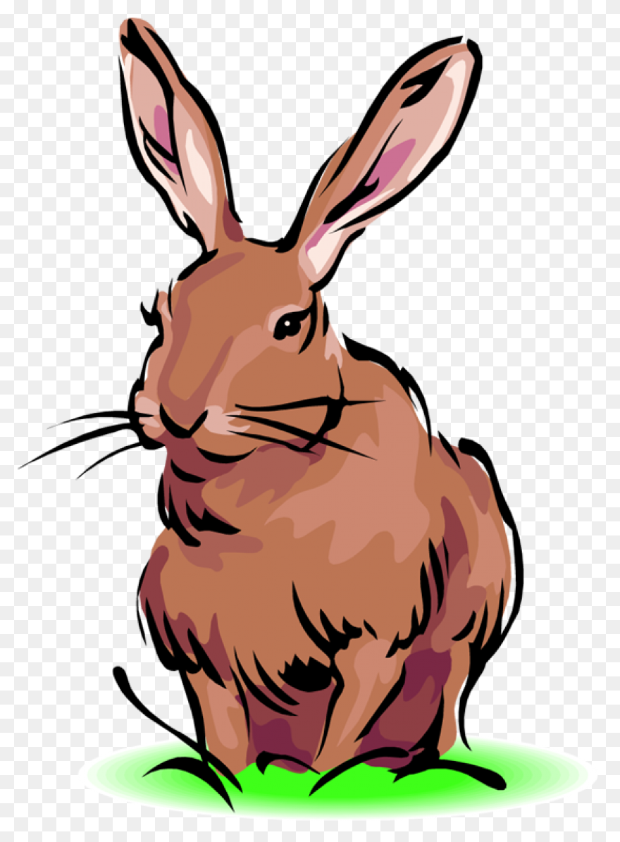 Cartoon Bunny | Use These Free Imag