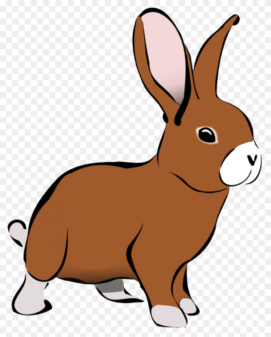 Cartoon Bunny | Use These Free Imag