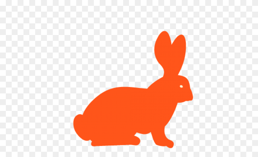 Cartoon Bunny | Use These Free Imag