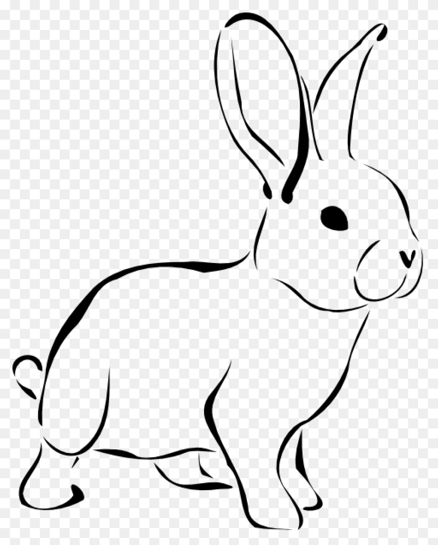 Cartoon Bunny | Use These Free Imag