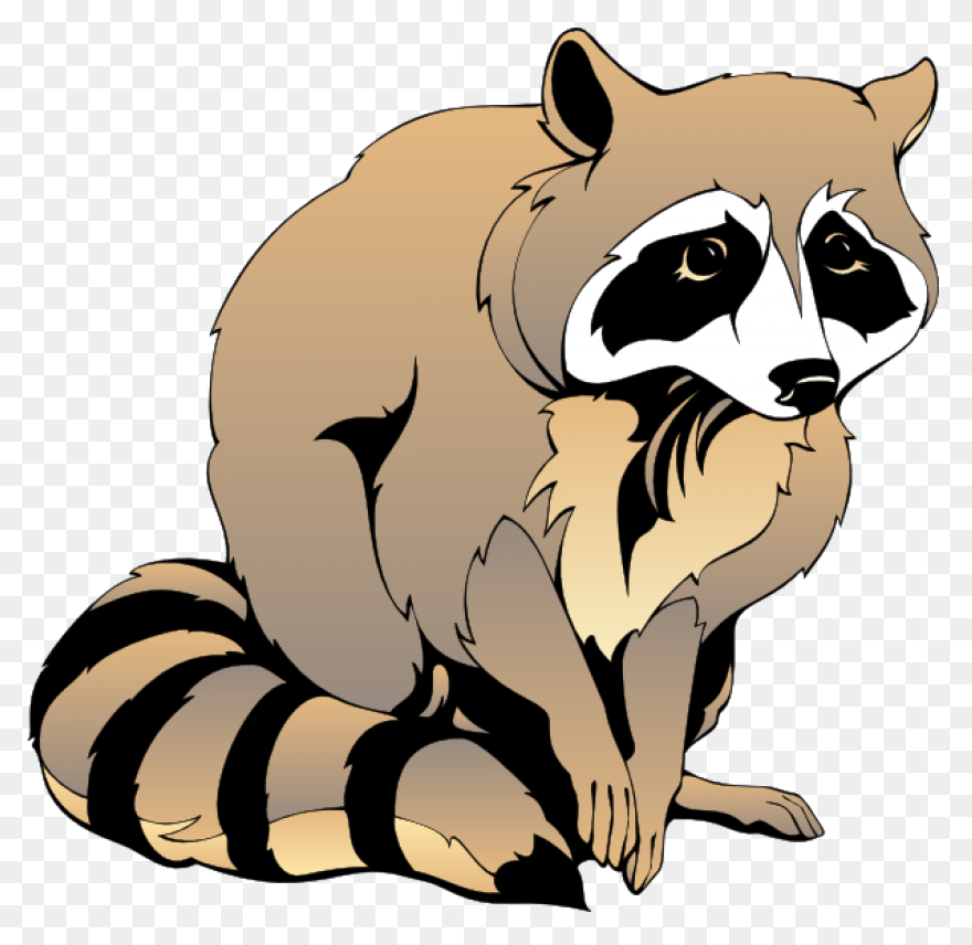 Free Raccoon Cliparts, Download Fre