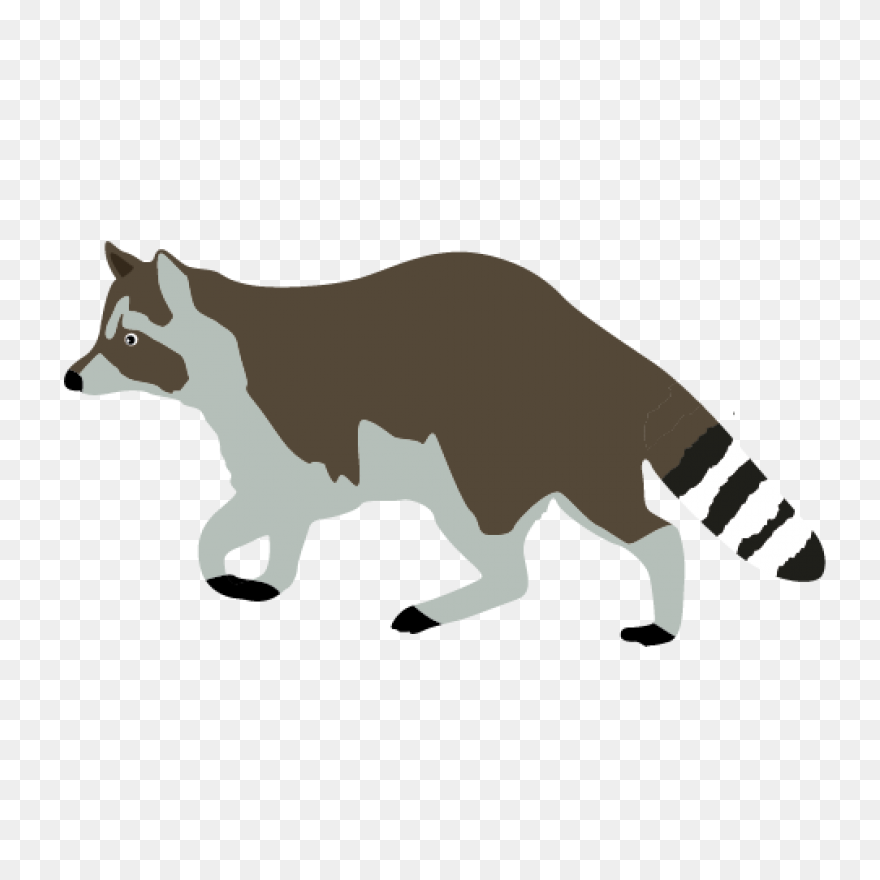 Free Raccoon Cliparts, Download Fre