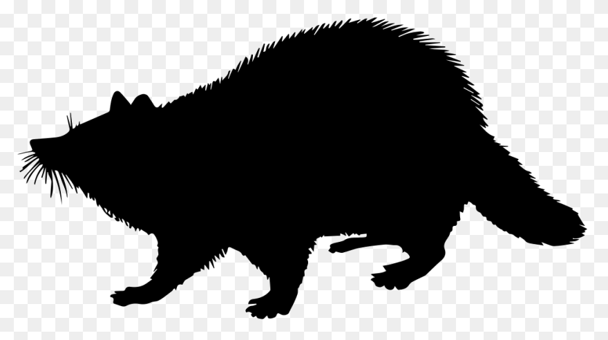 Free Raccoon Cliparts, Download Fre
