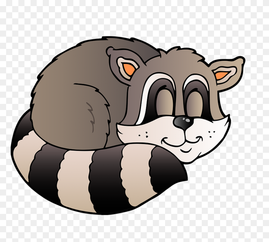 Free Raccoon Cliparts, Download Fre