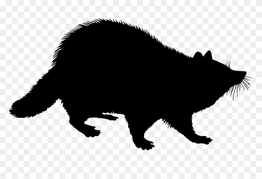 Free Raccoon Cliparts, Download Fre