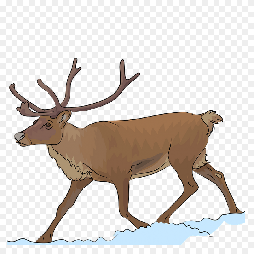 Free Reindeer Clipart - ClipartFlar