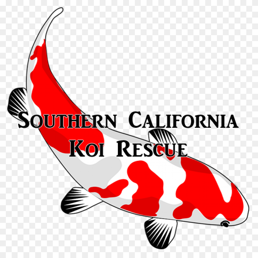 Clipart Tropical Fish - ClipartFlar