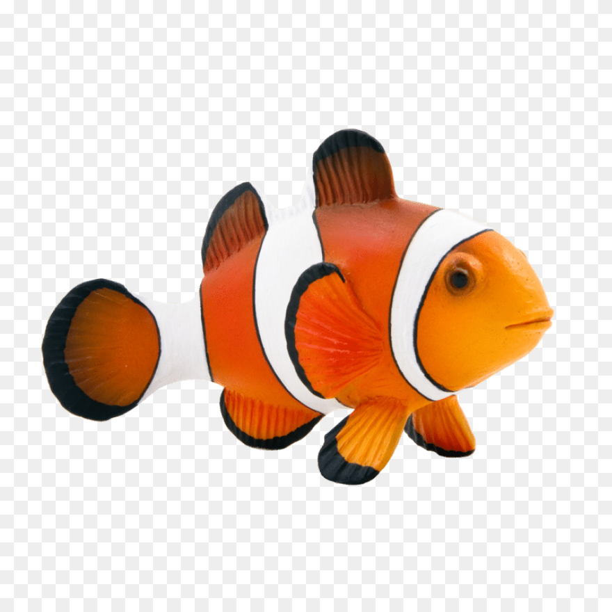 Maroon Clownfish Animal Mojo Fun - Real Fish