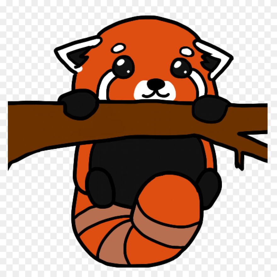 Red Panda | Panda Painting, Anime B