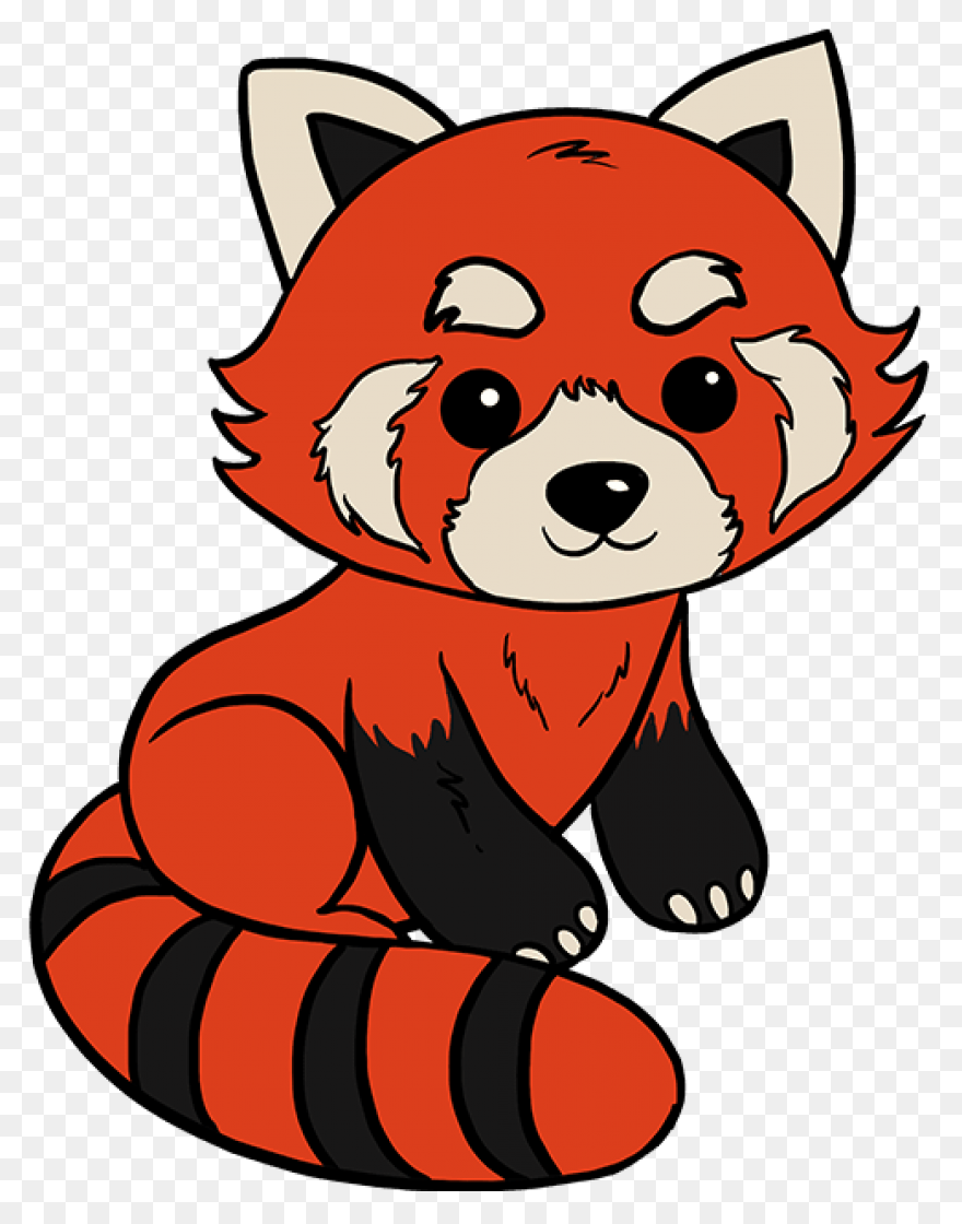 Red Panda | Panda Painting, Anime B