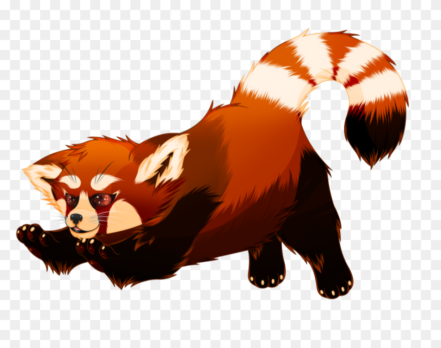 Red Panda | Panda Painting, Anime B