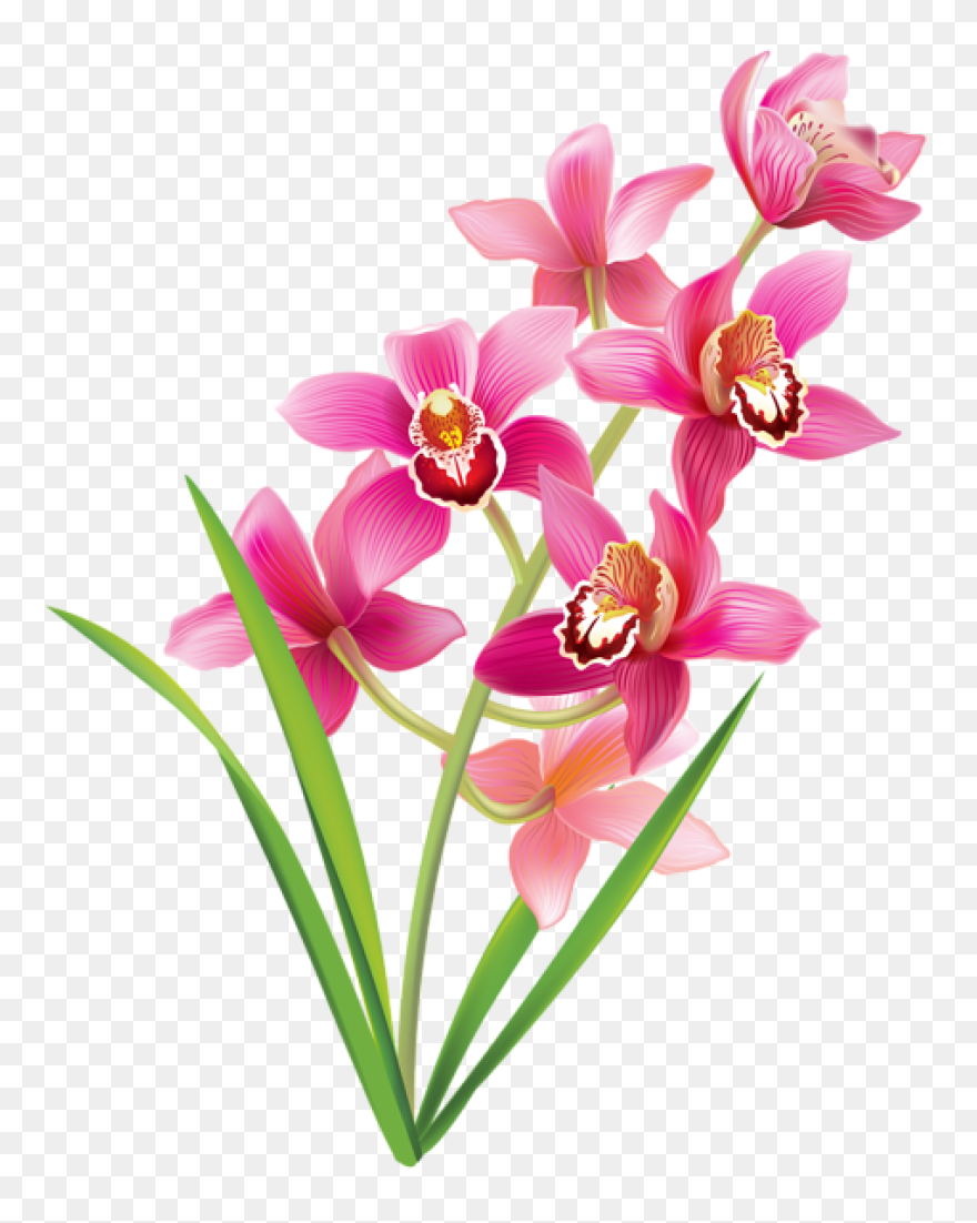 Free Cliparts Real Flowers, Downloa