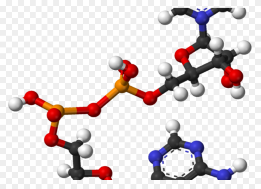 Facebook Like Button Chemical React
