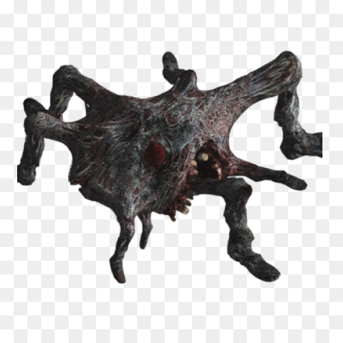Umbrella Corps Symmetry Area Reside