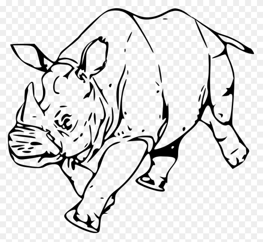 Rhino Clipart | Free Download Clip 