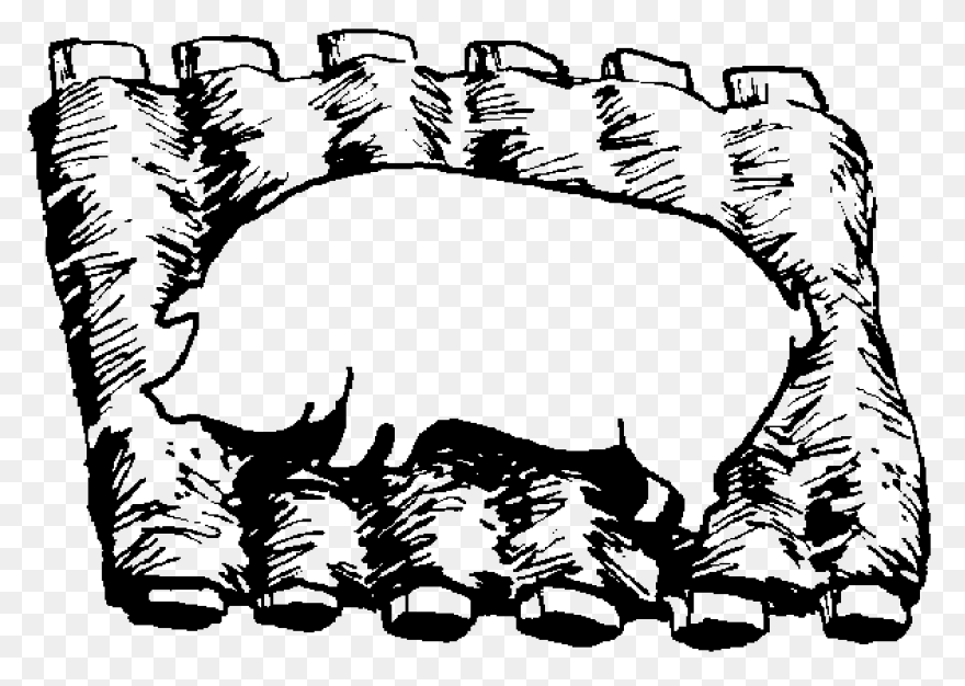 Ribs Clipart  - Ribs